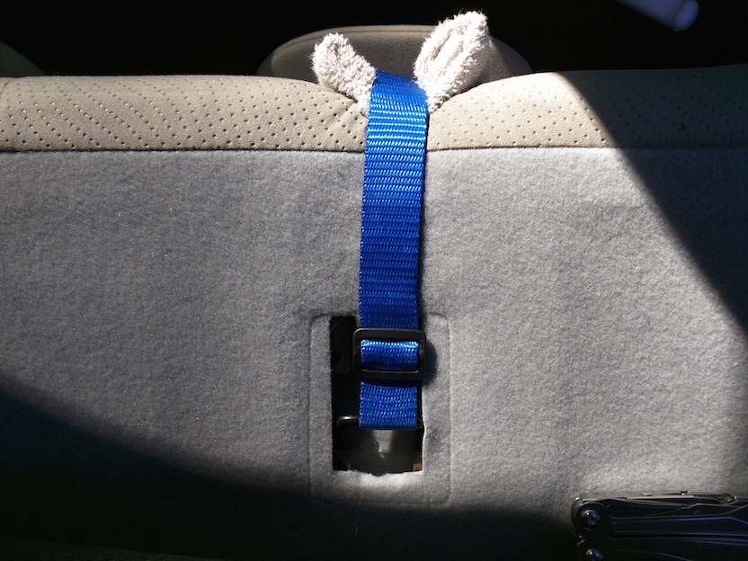 Belt on the rear seat.